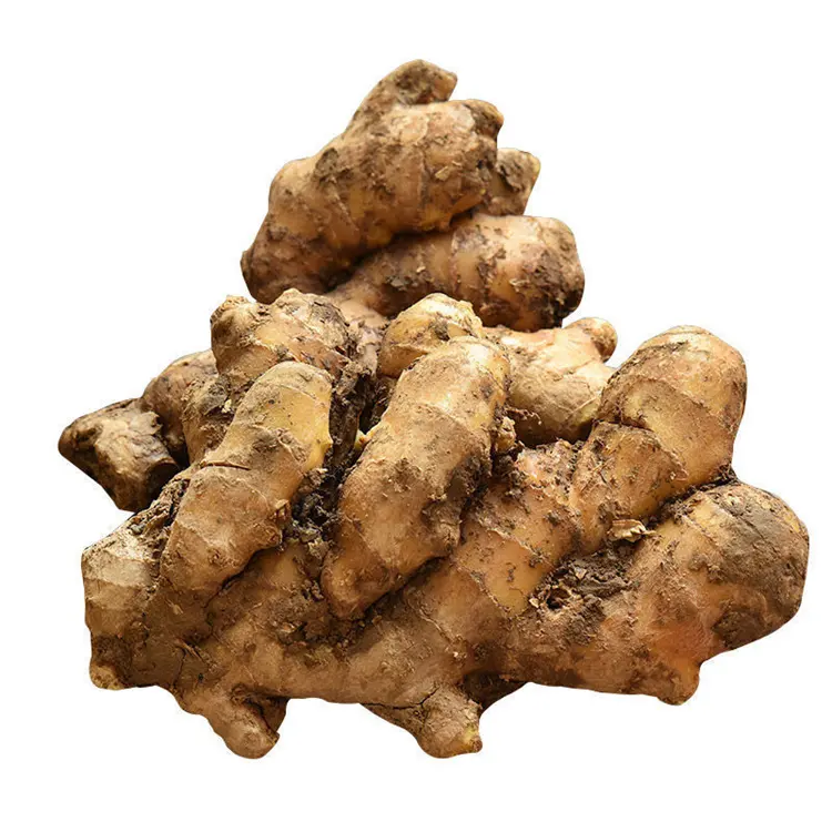 Cheap Price Oil Price Market Price Farm Planting Outstanding Quality Fresh Ginger
