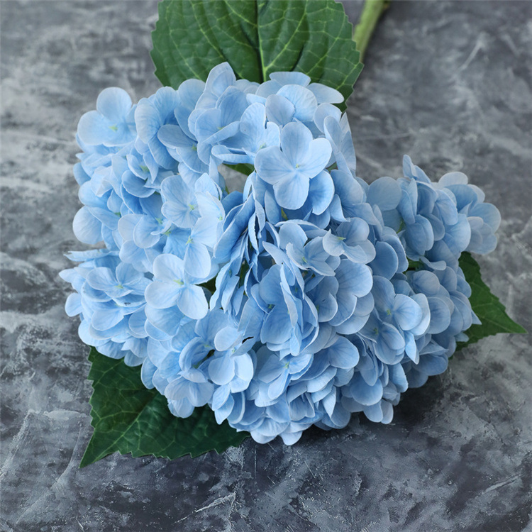 Style2 Blue