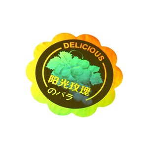 偽造防止QRコード追跡性ラベル防水光沢仕上げレーザーカスタム包装 - Product Image 3