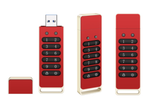 Best Selling Digital USB <strong>Flash</strong> Disk AES256-bit Hardware Password <strong>Encrypted</strong> USB <strong>Memory</strong> Stick OEM ODM OBM Customization DIY Design - Product Image 2