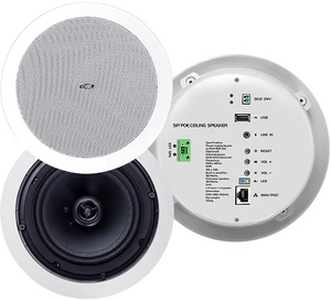 Altavoz de techo Poe Tcp Ip Udp Dhcp Ip Pa con sistema de red a prueba de agua, al por mayor, a la venta, a la venta