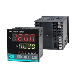 Industriale TC RTD segnali di ingresso multipli PID programma intelligente regolatore di temperatura segmento - Product Image 1