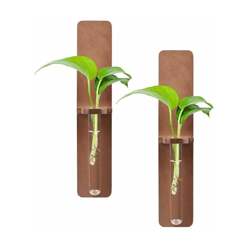 Tube de Station de Propagation de Plantes avec Support en Bois Vase Décoratif Mural Hydroponique Plante Suspendue Terrarium Jardinière en Verre