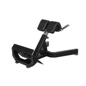 Sedia romana regolabile panca allungabile posteriore per palestra allenamento esercizio Multi-funzionale seduta di qualità Pin in acciaio per sviluppatori di allenamento - Product Image 1
