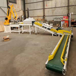 Packing and Palletizing <strong>Robot</strong> 180kg <strong>Load</strong> Stacker Box Pallet Stacker - Product Image 6