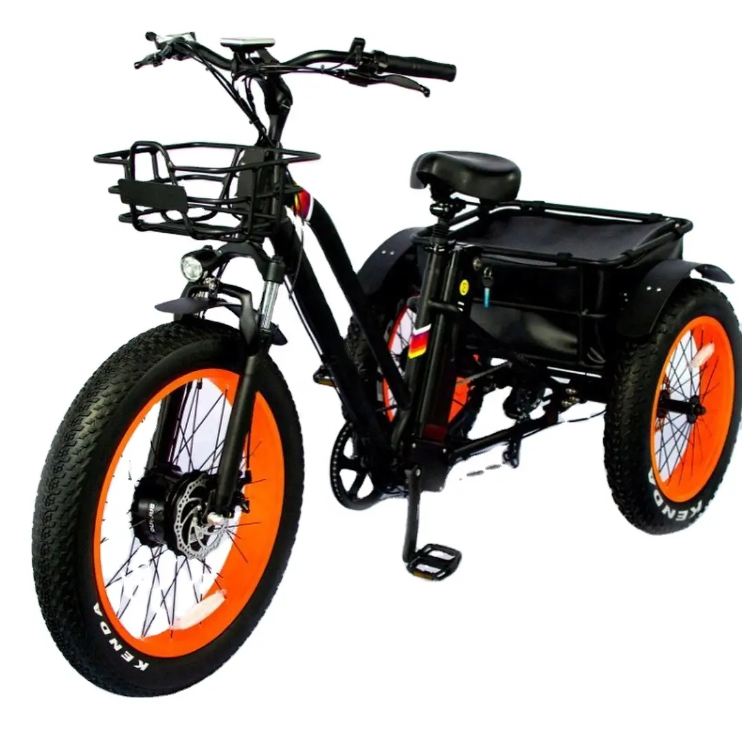 2024 500W 750W 3 Rad Fett reifen Elektro fahrrad Dreirad Elektro Familien fahrrad 3 Ruote Elektro fahrrad