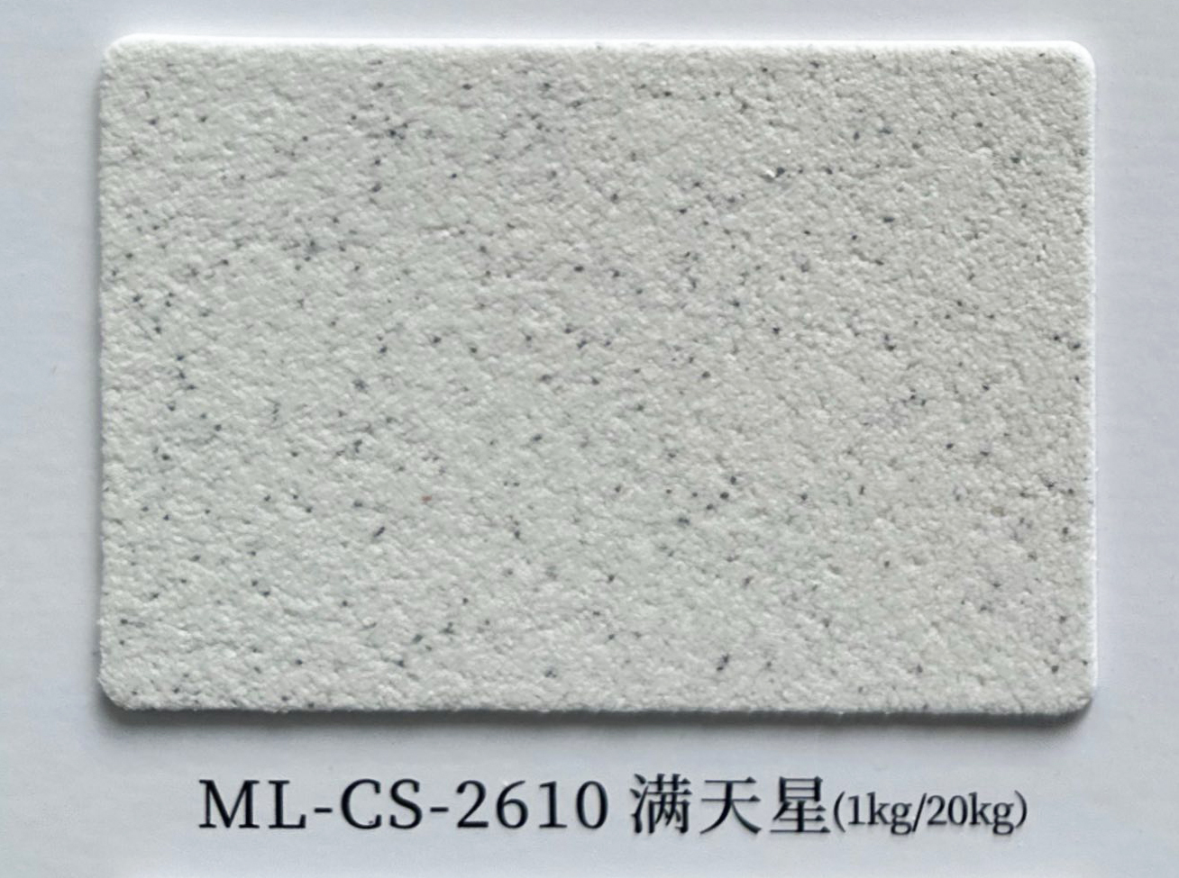 ML-CS-2610