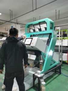 Latest Model Intelligent coffee bean <strong>color</strong> sorter optical selector <strong>machine</strong> <strong>cocoa</strong> bean <strong>color</strong> <strong>sorting</strong> <strong>machine</strong> - Product Image 6