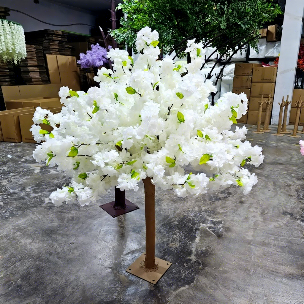 Blanc 1