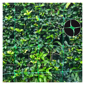 15*15 cm Mesh Size Plants <strong>Support</strong> <strong>Net</strong>/strong Plastic Trellis Mesh for Climbing Vine/green Color Runner Plants Climbing <strong>Net</strong> - Product Image 5