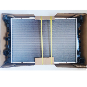 W197 2008-2014 OEM 1975000003 için radyatör - Product Image 1