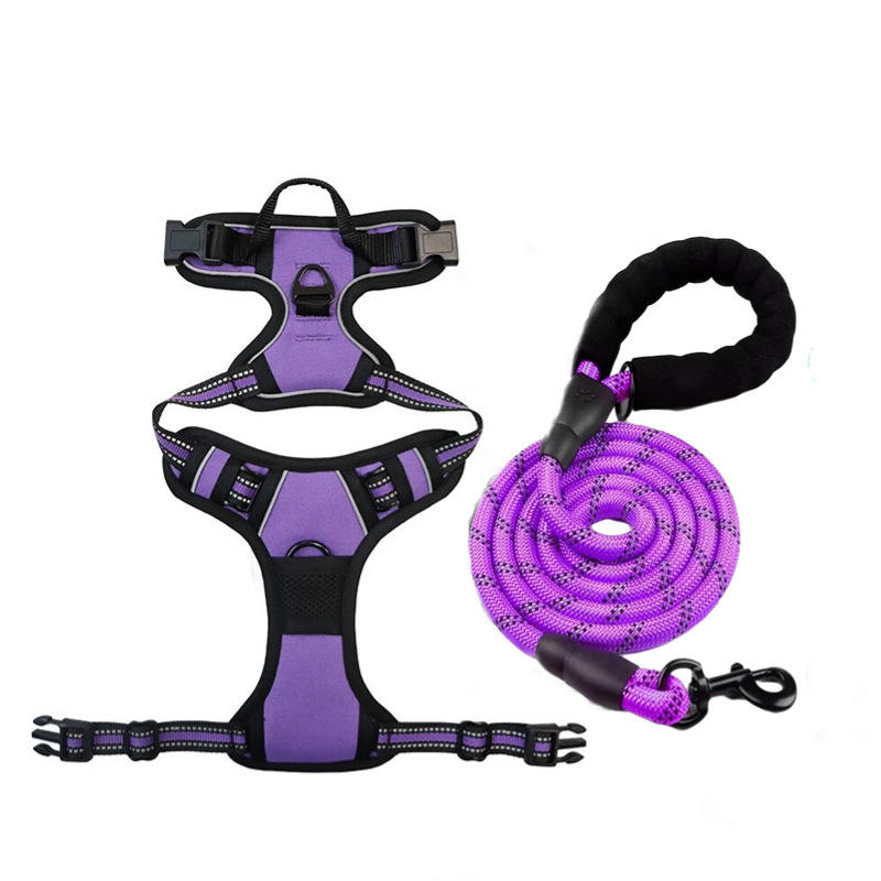Purple-chest harness + leash