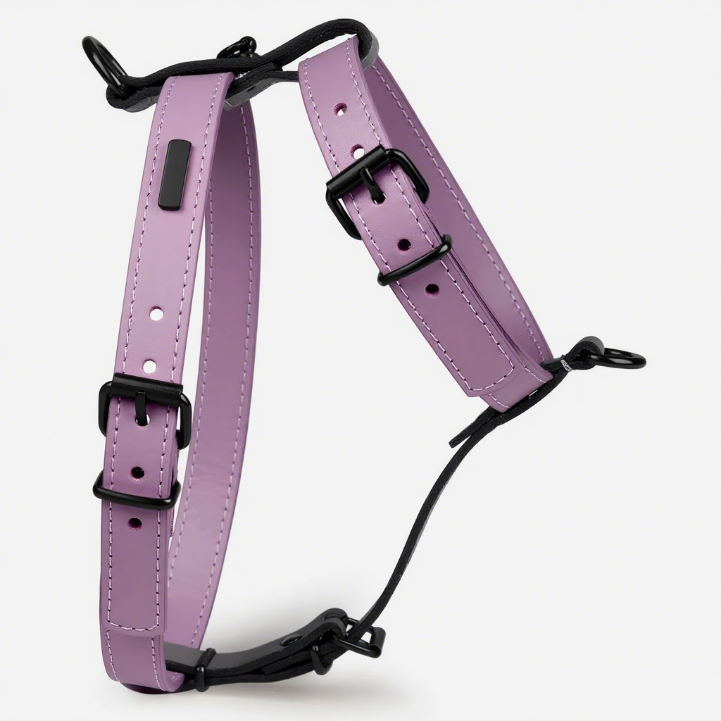 Lilac with black accessories
