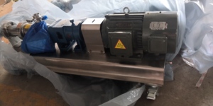 単軸ポンプ衛生的なプラス容量ポンプスラリーポンプ - Product Image 6