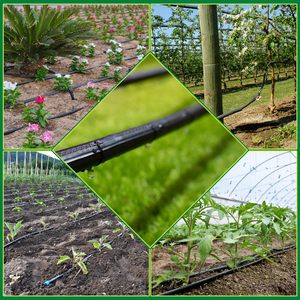 Hệ thống tưới nhỏ giọt nông nghiệp 1 HA Ống tưới phát phẳng với thiết kế tưới băng nhỏ giọt & tưới - Product Image 5