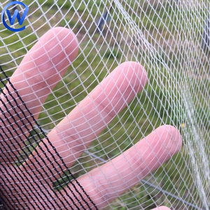 Polypropylen Sonnenschutz Hagel Netz Landwirtschaft Kunststoff Anti Hagel Schutz Netz Jemen Anti Hagel Netz für Apfel Trauben baum