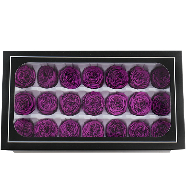 morado oscuro
