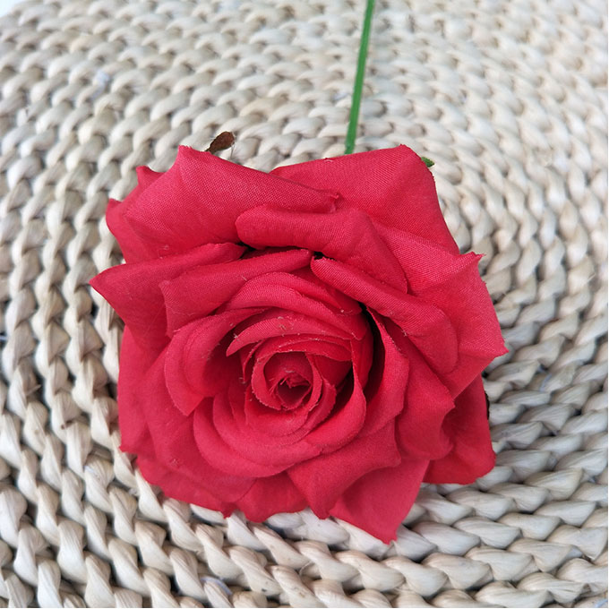 Rose garance