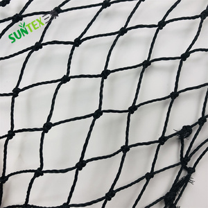 Knotted Bird Net Netting 28mm für Starling Control Black Color Anti Bird Net