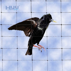 Plastic Garden Net PP Grid Mesh Anti Bird <strong>Netting</strong> for Sales - Product Image 3