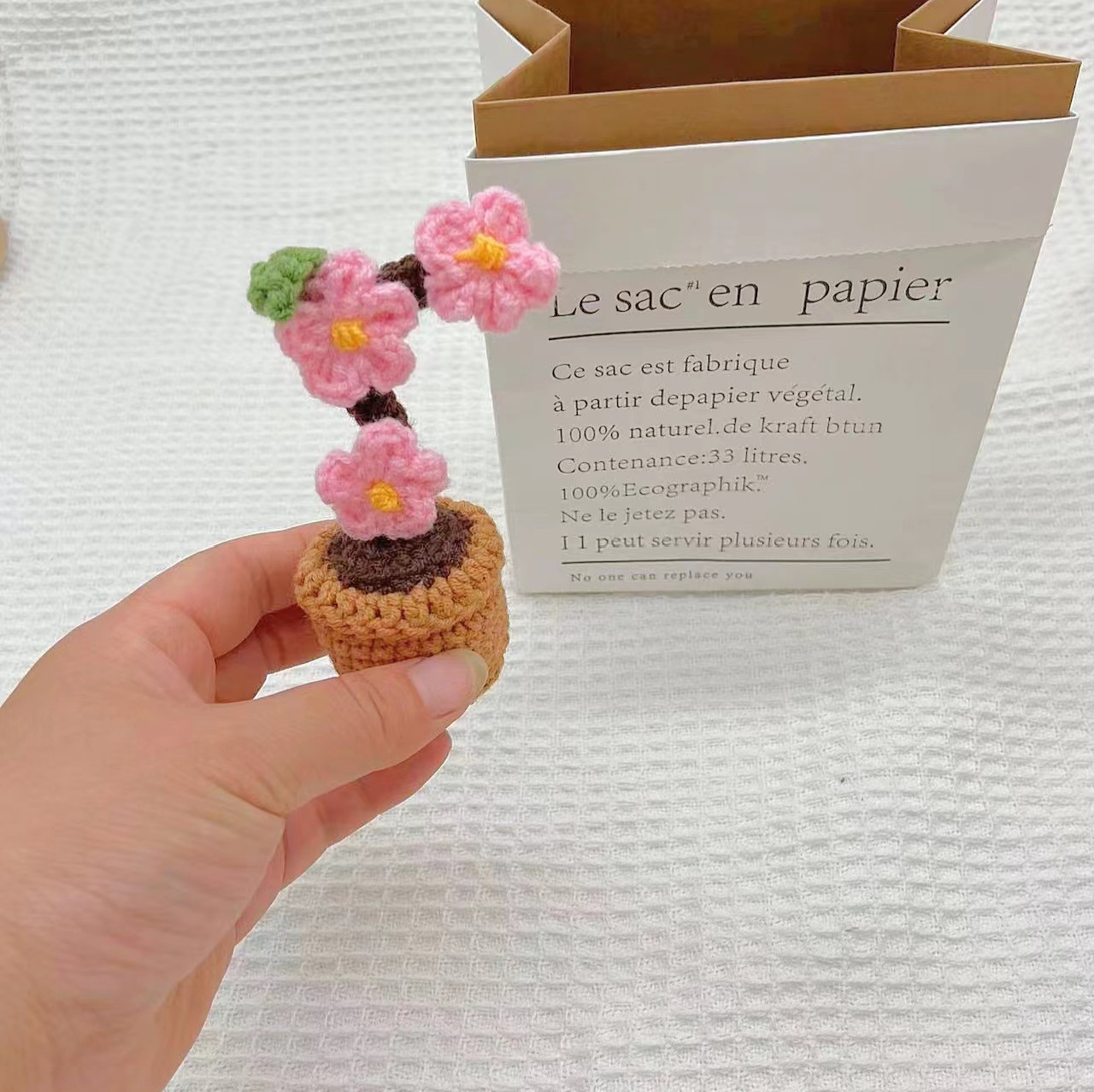 Plante miniature en pot de fleur de prunier finie