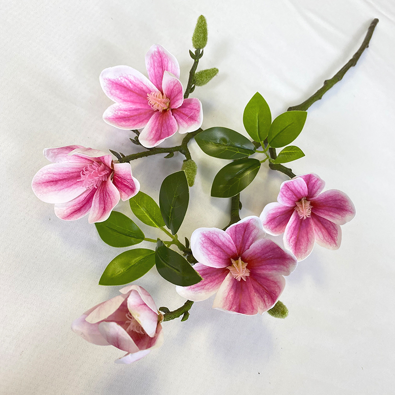 Pink 06