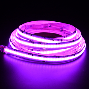 แอดแอลอีดี DC12V 630ชิพ rgbic 12V Smart rgbic Strip rgbic 8วัตต์/เมตร71.42มม. ตัดได้กว้าง12มม. เรียงตามลำดับสีฝัน - Product Image 3