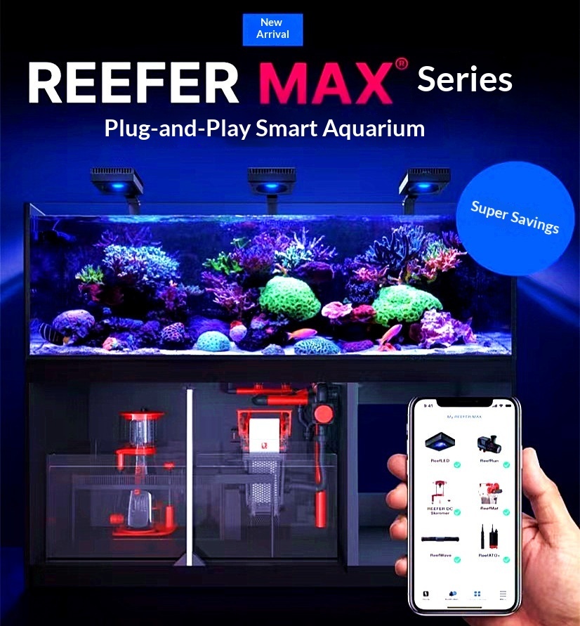 Black Reefer max 170G3+ black/white