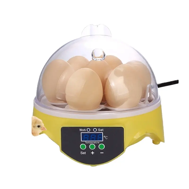 Incubateur intelligent œufs à 7 œufs, couveuse chinoise, nouveau design