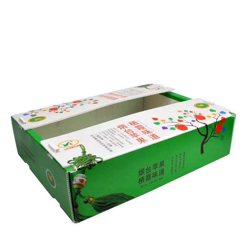 Fruits Légumes Emballage PP Cartonplast Raisins \ Brocoli \ Gingembre Emballage En Plastique Feuille Ondulée