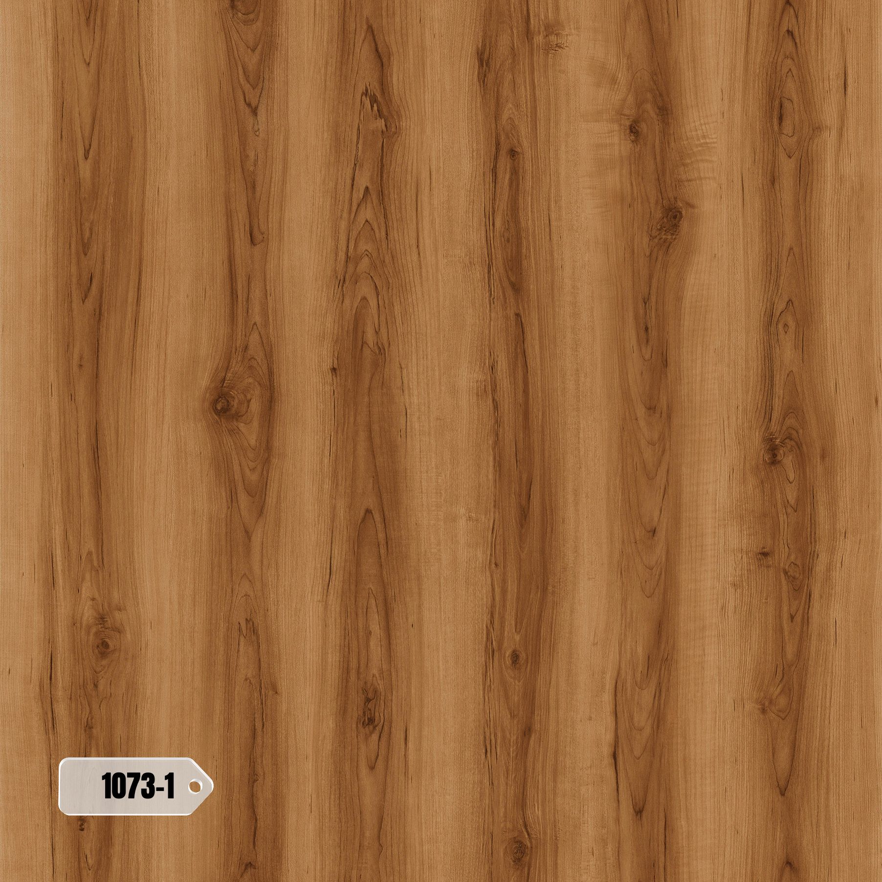 1073-1