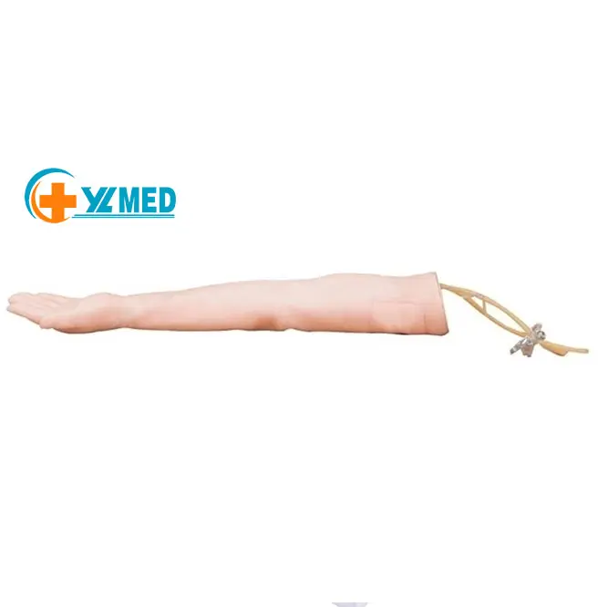 Modello di addestramento per puntura dell'arteria del braccio di fabbrica e iniezione intramuscolare
