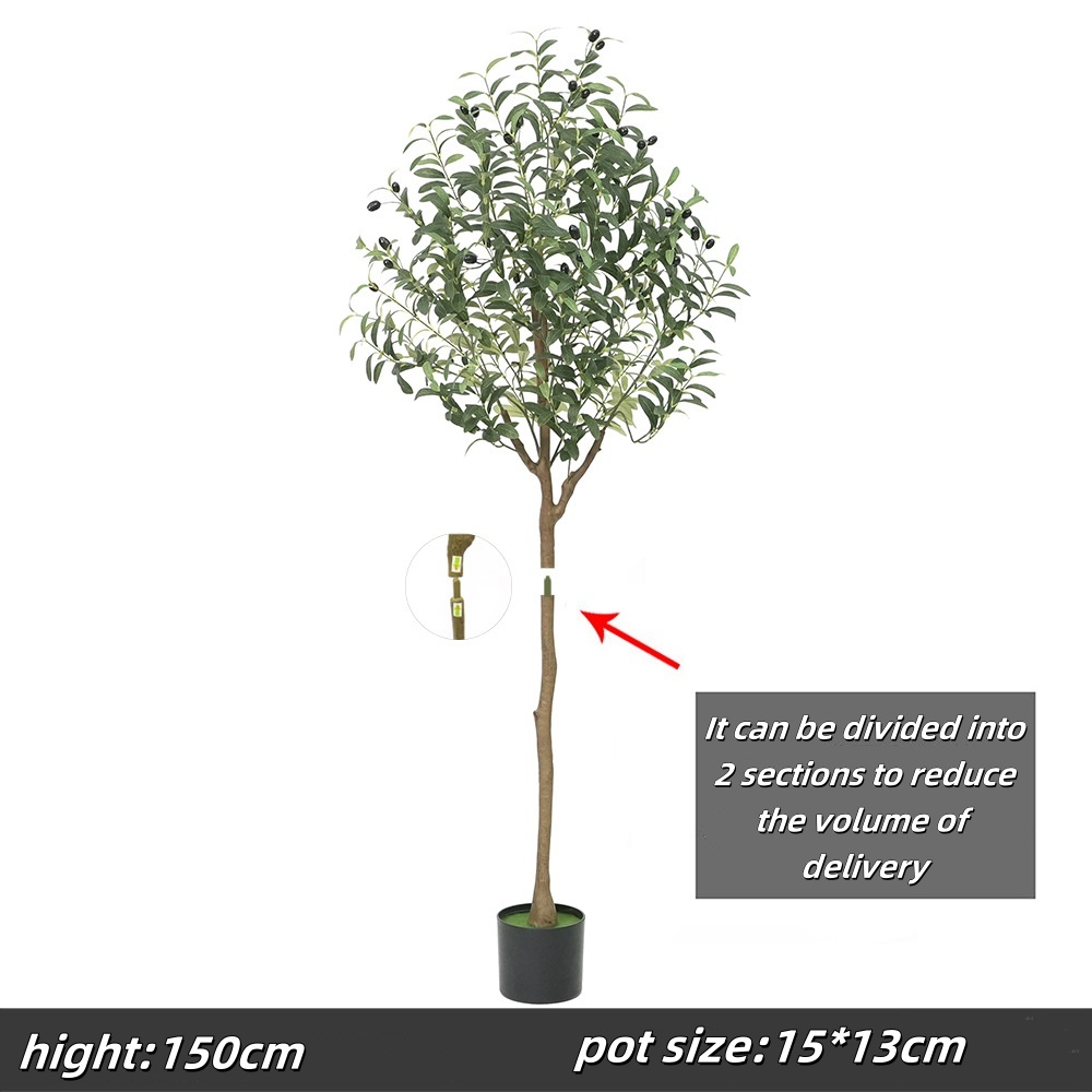 150cm olive tree, type a