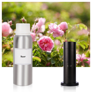 200ml 500ml otel serisi uçucu koku yağı için Aroma YAYICI veya koku makinesi için veya stokta hava nemlendirici için - Product Image 6