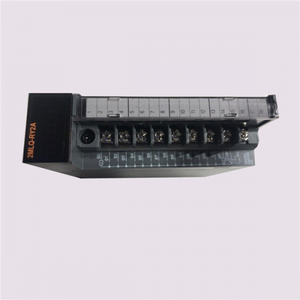 Honeywell 2MLQ-RY2A Controlador lógico programable DC24V AC22 Módulo de salida de relé para entrada y salida (IO)