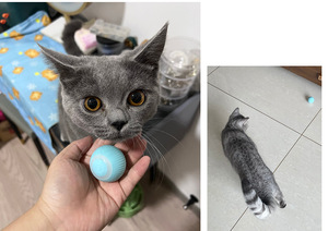 Juguete eléctrico automático para gatos, juguete inteligente de silicona para mascotas, con hierba gatera, gran oferta de fábrica - Product Image 6