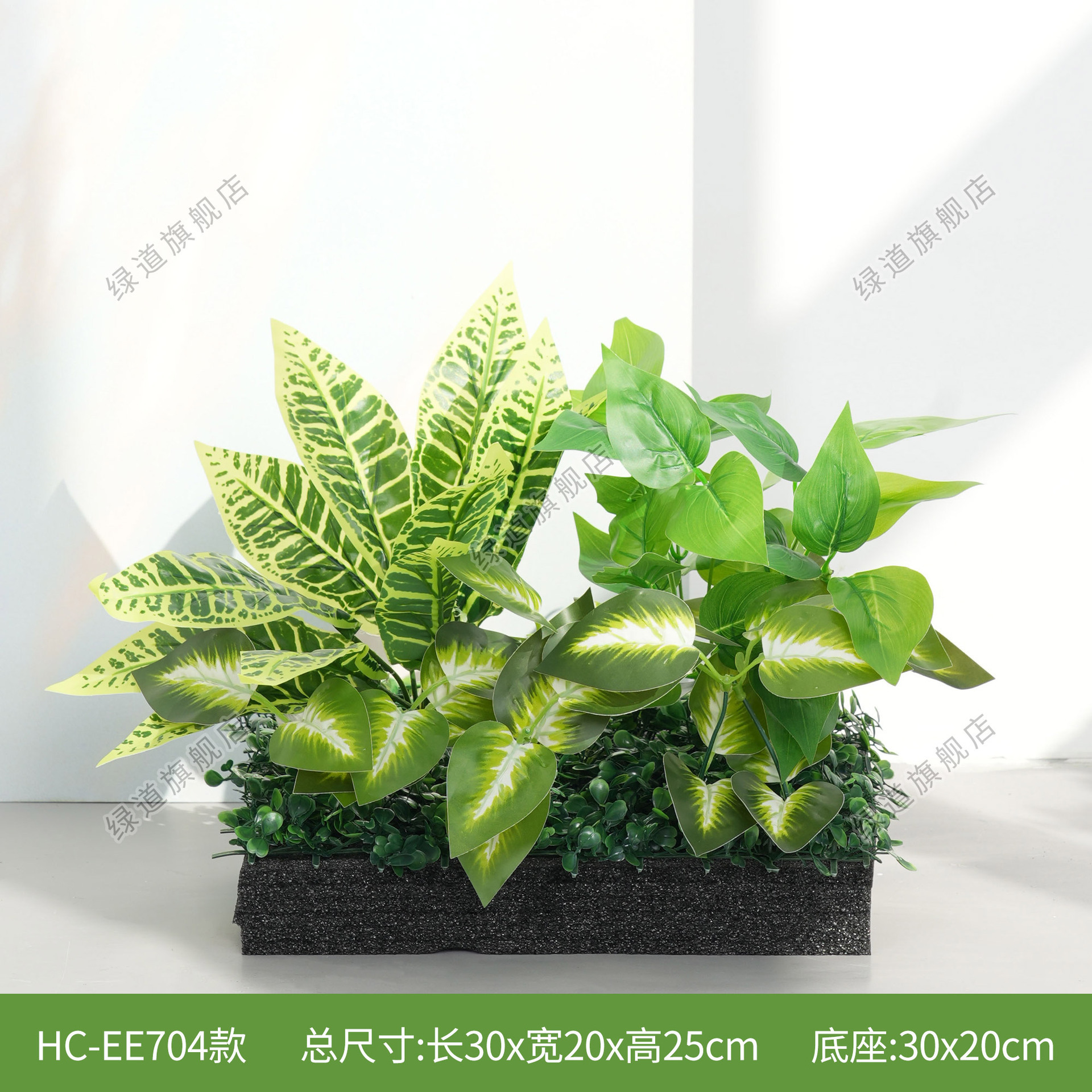 HC-EE704