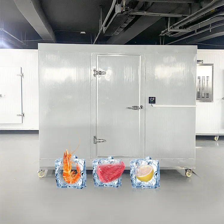 Fruits et Légumes Chambre Froide Congélateur Mobile Chambres Groupe Matériaux Isolants Stockage Congelé à Énergie Solaire