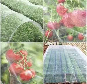 Seralar, sebze bahçeleri ve yüksek UV korumalı meyve ağaçları için 40 Mesh anti-böcek ekran Net - Product Image 4