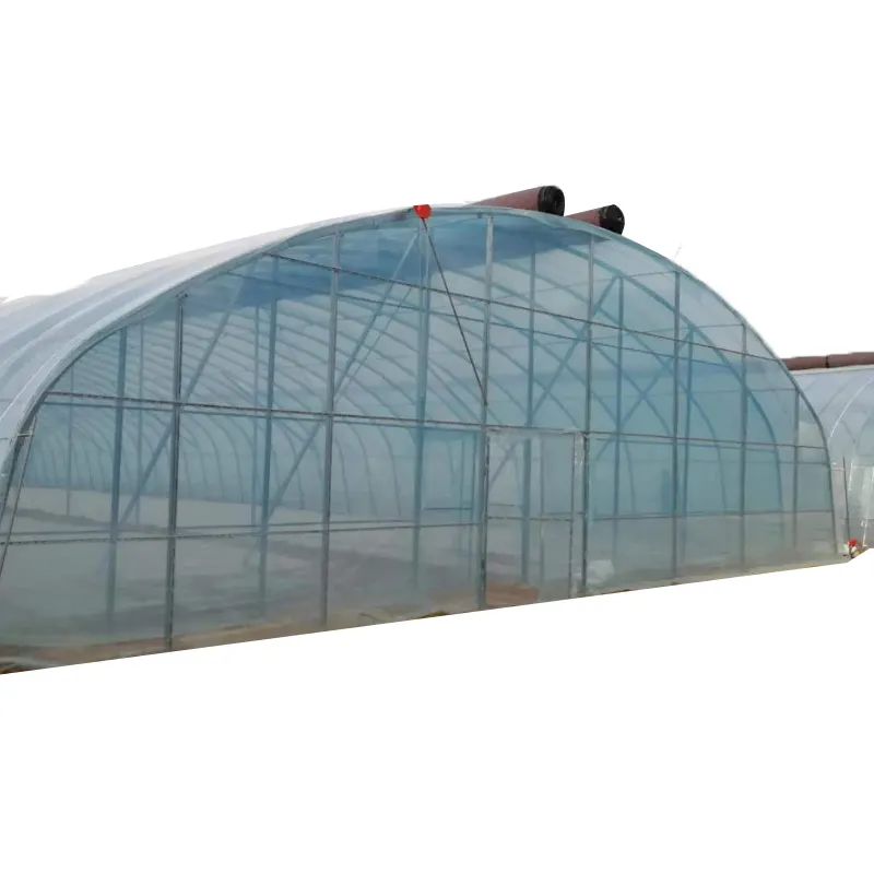 Hot Sale Agricultural Tunnel Green House,Agricultural Tunnel Green House Single Span,Tunnel Green House For Growing