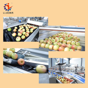 フルーツグレーディングマシンアップルグレーディングライン自動果物と野菜の洗浄および選別機 - Product Image 2