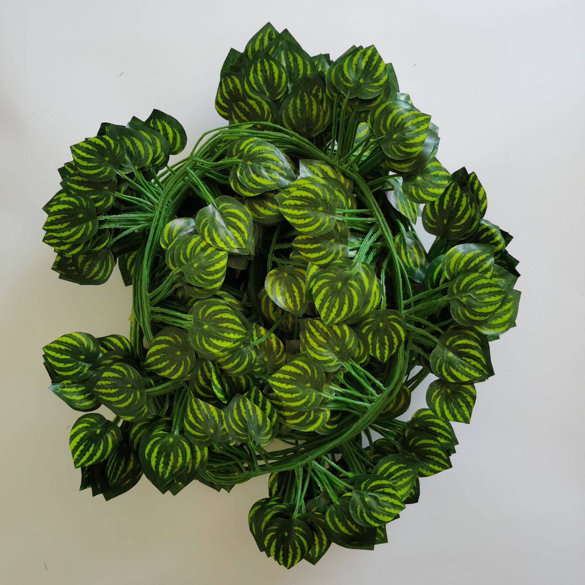 pastèque 81 feuilles