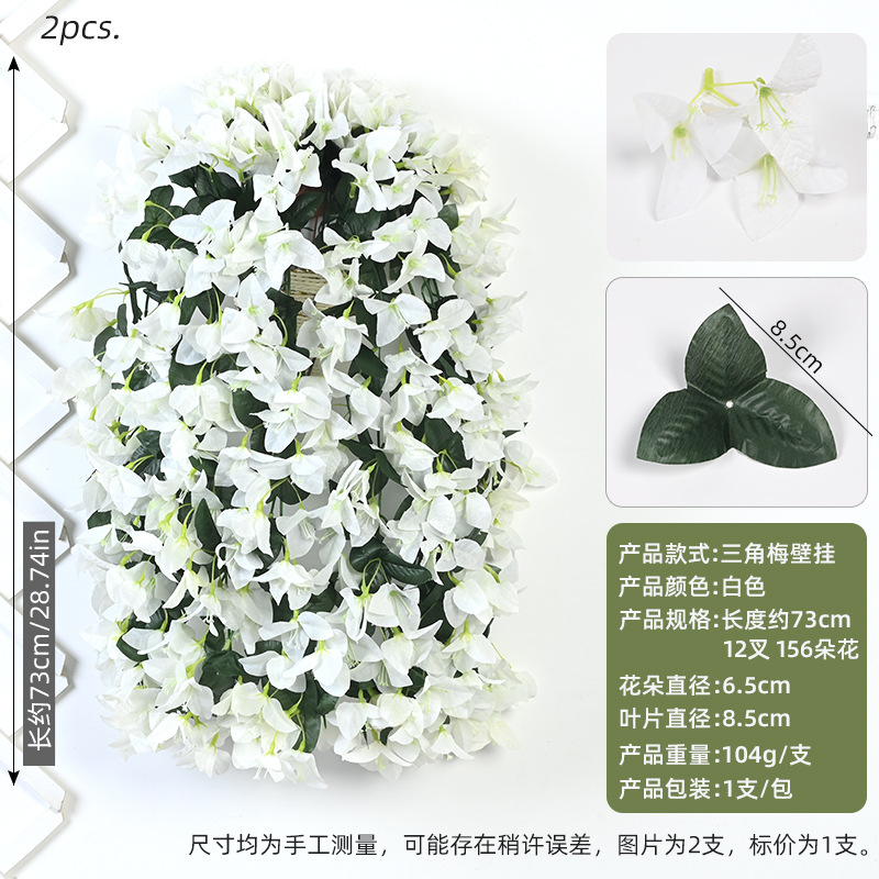 Bougainvillier blanc