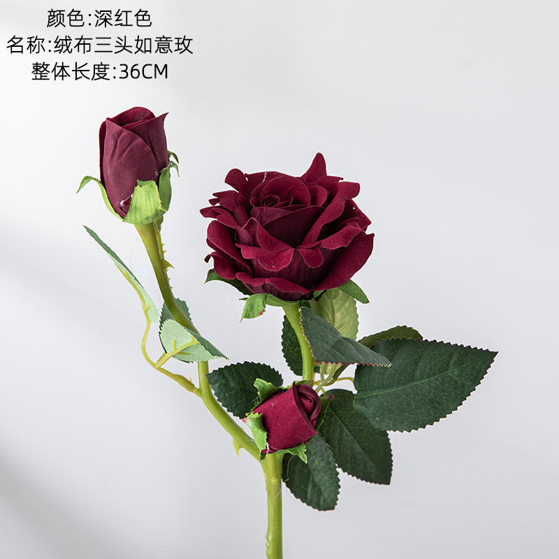 กุหลาบต้นแมดเด