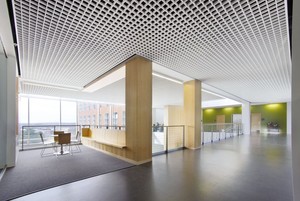 Decorative Metal Open Cell <strong>Ceiling</strong> System Commercial Plafond 10 X 10 Aluminum <strong>Grid</strong> <strong>Ceilings</strong> - Product Image 5