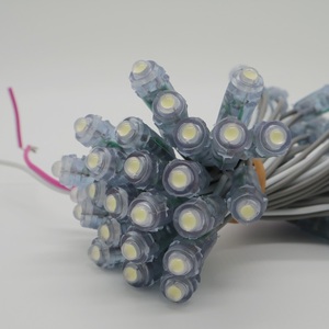 LEDポイントライトdc 12v 9ミリメートルBullet Pink Orangeウォームホワイト0.15W 50 PCS/String IP65 Advertisingボードポイントledモジュール - Product Image 2