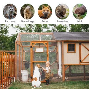 Гексагональная сетка из оцинкованной сетки - Product Image 6