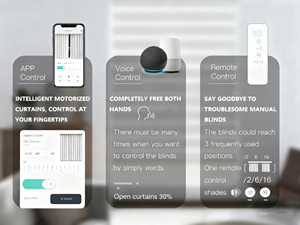 Zigbee Blinds <strong>for</strong> <strong>windows</strong> Tuya <strong>Window</strong> Indoor Electric Wifi Motorized Blackout Horizontal Automatic Smart Roller Blinds Shade - Product Image 6