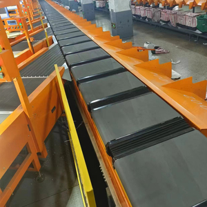 Smart Logistic Sorter attrezzatura Multi-Chute LinearBelt selezionatore codice di scansione tutto in uno smistamento macchina trasportatore per magazzino - Product Image 5