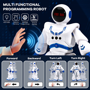 早期教育ジェスチャーセンシングRcロボットプログラム可能ヒューマノイド卸売スマート学習インテリジェントロボット - Product Image 3